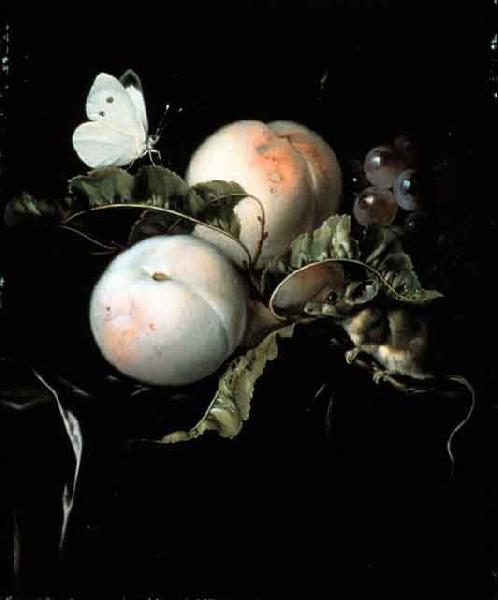 Willem van Aelst Fruit Still Life with a Mouse oil painting picture